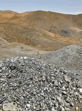 Left Image